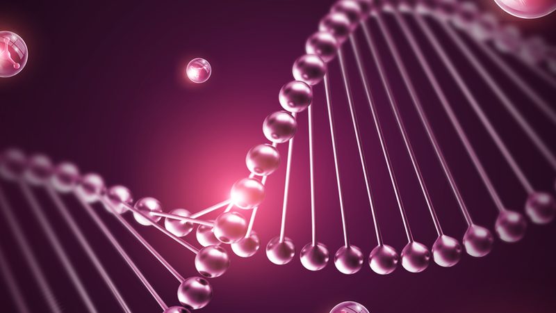 生物科技肥料兑水比例：科学配比，精准施用**