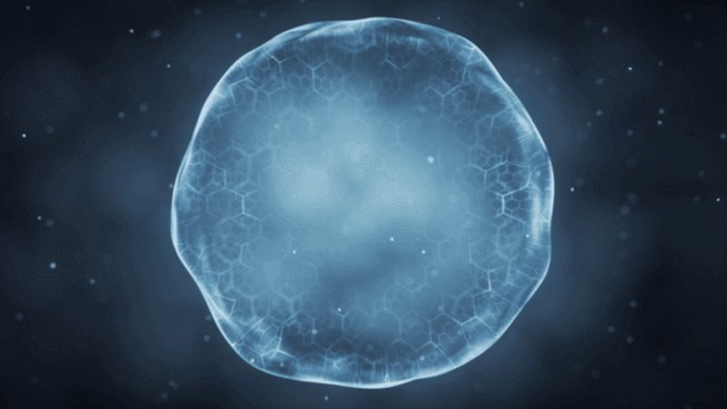OEM生物科技公司如何选择？揭秘生物制药外包的关键要素**