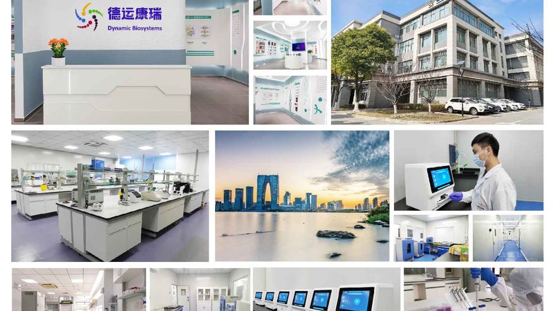 酶促反应步骤解析：关键步骤与差异点详解