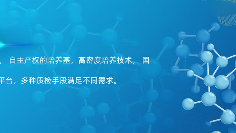 果蔬加工酶：揭秘高效酶解的五大步骤