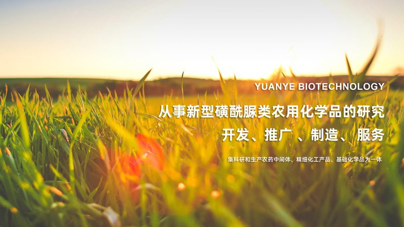 生物科技医疗应用行业规范：合规之路，安全为魂