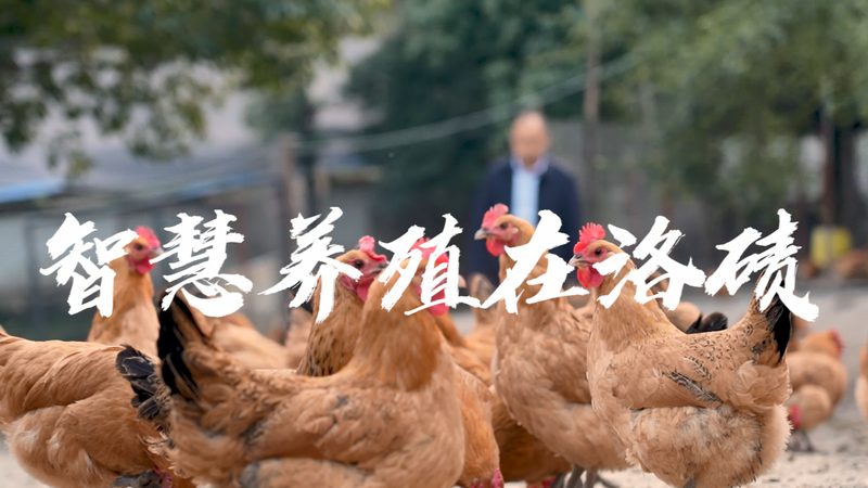 广州哺乳动物细胞培养代工：揭秘生物制药的关键环节**