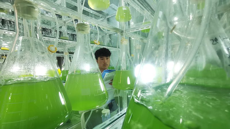 生物医药园区招商政策：助力产业腾飞的关键要素**